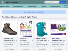 Screenshot der Domain agility-trainer.de