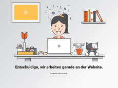 Screenshot der Domain anap-akademie.de