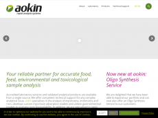 Screenshot der Domain aokin.com