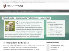Screenshot der Domain arcd-ev.de