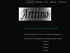 Screenshot der Domain arttino.de