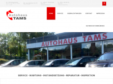 Screenshot der Domain axel-tams.de