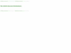 Screenshot der Domain b2b-dialog.com