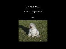 Screenshot der Domain bambuli.de