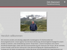 Screenshot der Domain bammert-hv.de