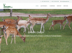 Screenshot der Domain bampihof.de