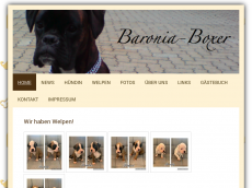 Screenshot der Domain baronia-boxer.de