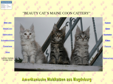 Screenshot der Domain beautycats-mainecoon.de