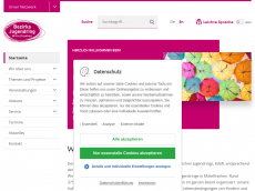 Screenshot der Domain bezirksjugendring-mittelfranken.de