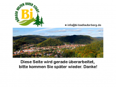 Screenshot der Domain bi-badlauterberg.de