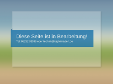 Screenshot der Domain big-twin-laden.de