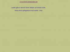 Screenshot der Domain birgit-kleinsteuber.de