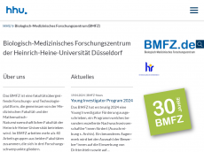 Screenshot der Domain bmfz.de