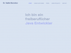 Screenshot der Domain borovkov.de