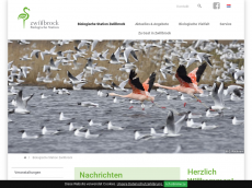 Screenshot der Domain bszwillbrock.de