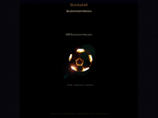 Screenshot der Domain bucky-ball.de