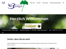 Screenshot der Domain bueringer.de