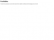 Screenshot der Domain burger-king-lieferdienst.de