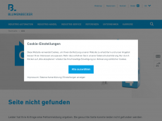 Screenshot der Domain c-teilemanagement.de