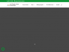 Screenshot der Domain carl-theodor-schule.de