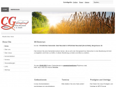 Screenshot der Domain christliche-gemeinde-nes.de