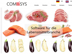 Screenshot der Domain comsys-plus.de