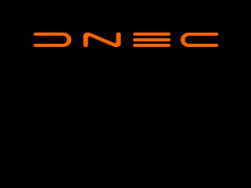 Screenshot der Domain dnec.de