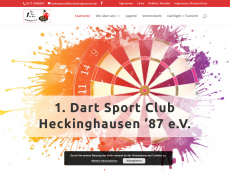 Screenshot der Domain dscheckinghausen.de