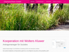 Screenshot der Domain einheitlicheransprechpartner.de