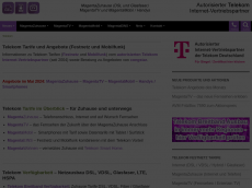 Screenshot der Domain entertainpaket.de