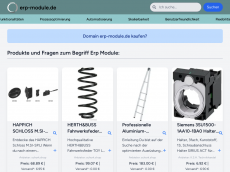 Screenshot der Domain erp-module.de