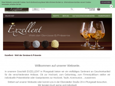 Screenshot der Domain ex-zellent.de