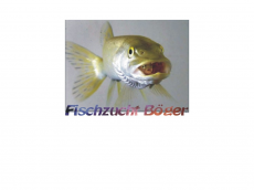 Screenshot der Domain fischzucht-boegerhof.de