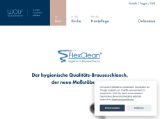 Screenshot der Domain flexclean.de