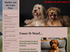 Screenshot der Domain geerties.de