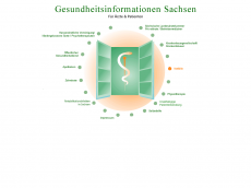 Screenshot der Domain gesundheitsinfo-sachsen.de