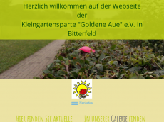 Screenshot der Domain goldene-aue-bitterfeld.de