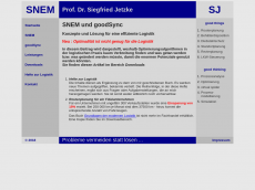 Screenshot der Domain goodsync.de