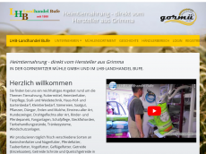Screenshot der Domain gormue.de