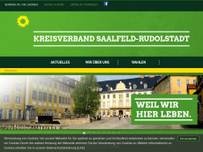 Screenshot der Domain gruene-slf-ru.de