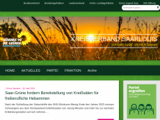 Screenshot der Domain gruene-sls.de