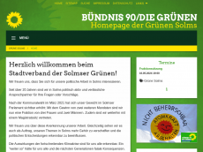 Screenshot der Domain gruene-solms.de