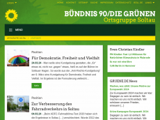 Screenshot der Domain gruene-soltau.de
