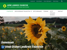 Screenshot der Domain gruene-traunstein.de