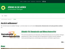 Screenshot der Domain gruene-tuebingen.de