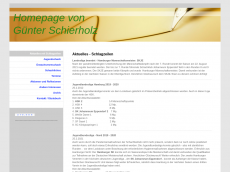 Screenshot der Domain guenter-schierholz.de