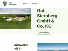 Screenshot der Domain gut-sternberg.de