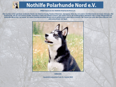 Nothilfe Polarhunde De Website Seo Review Seobility Net