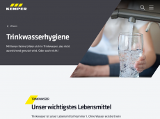 Screenshot der Domain hygienesystem-khs.de