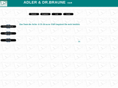 Screenshot der Domain ib-adler.de